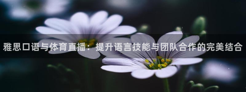 雅思口语与体育直播：提升语言技能与团队合作的完美结合