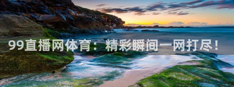 99直播网体育：精彩瞬间一网打尽！