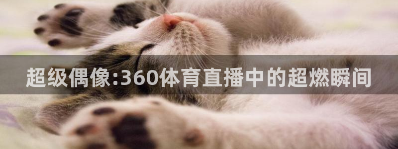 超级偶像:360体育直播中的超燃瞬间