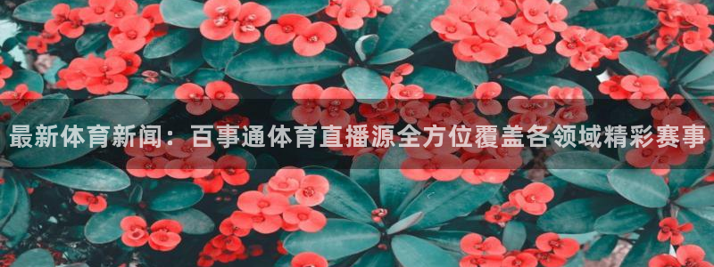 最新体育新闻：百事通体育直播源全方位覆盖各领域精彩赛事