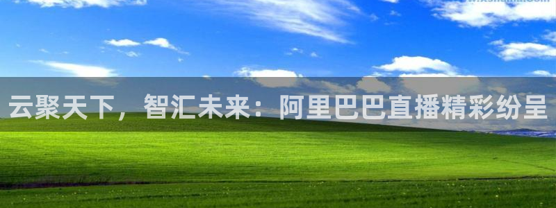 云聚天下，智汇未来：阿里巴巴直播精彩纷呈