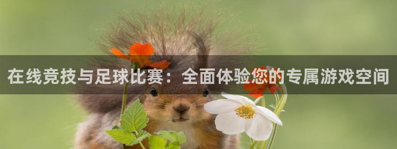 在线竞技与足球比赛：全面体验您的专属游戏空间
