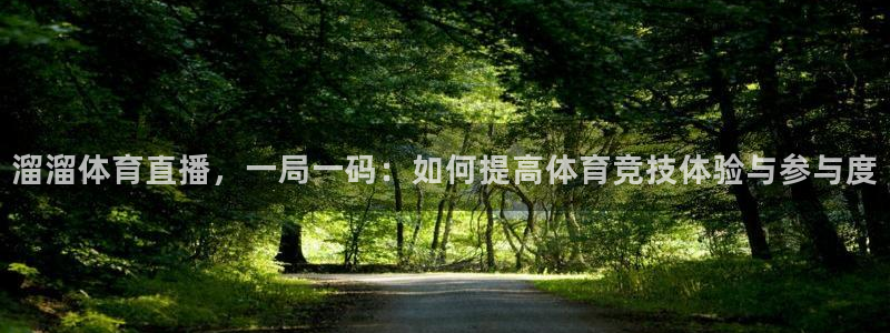 溜溜体育直播，一局一码：如何提高体育竞技体验与参与度