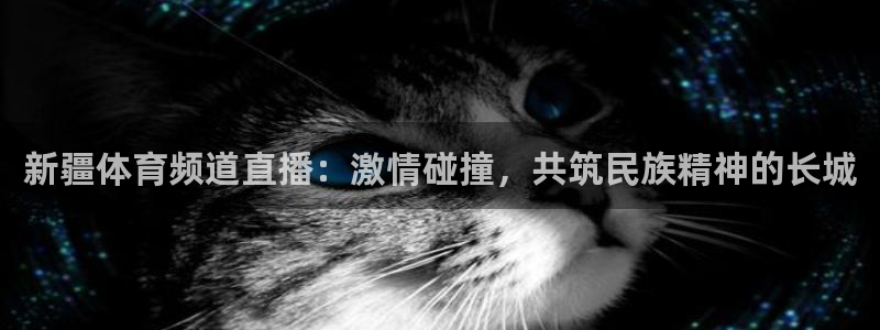 新疆体育频道直播：激情碰撞，共筑民族精神的长城