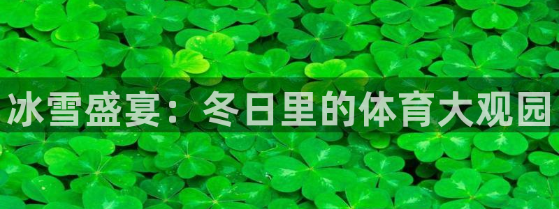 冰雪盛宴：冬日里的体育大观园